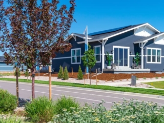 Thrive Home Builders