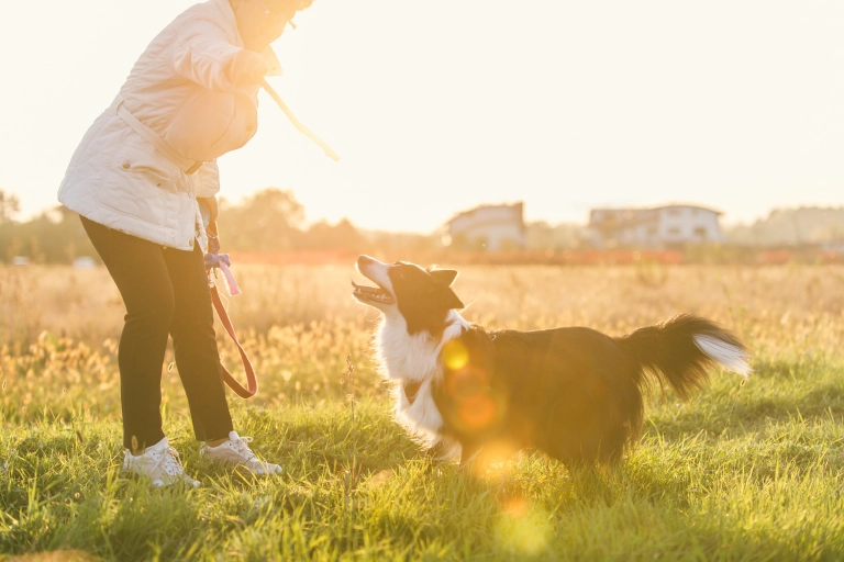 Dog and owner in field